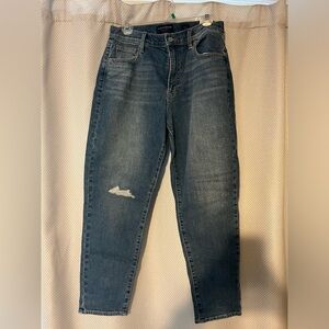 NWT Lucky Brand Sz 6 High Rise Mom Jeans